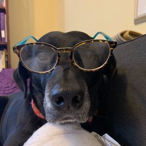 Meet your Posher, Erika